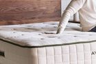 Avocado Green Hybrid Firm Mattress 11.5"
