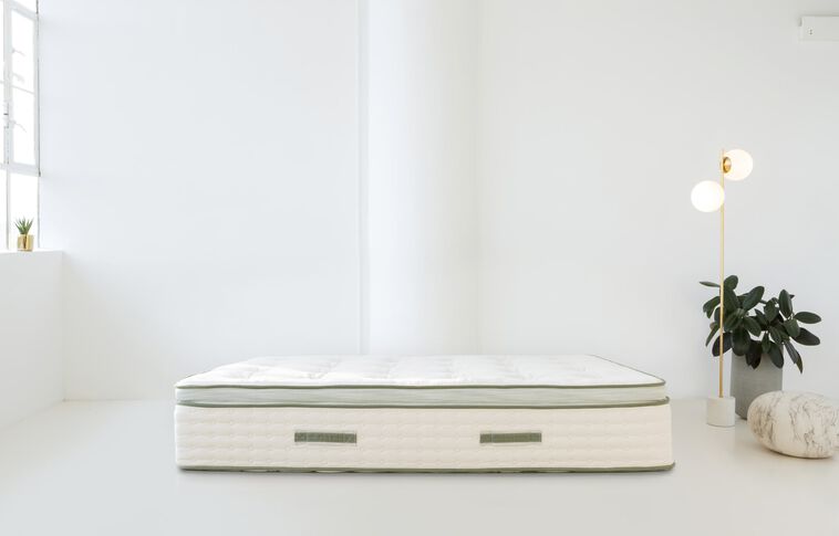 Avocado Green Hybrid Plush Pillow Top Mattress 13" image number 4