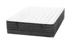Aireloom Pacific Bay Gemini Firm Mattress 11.5"