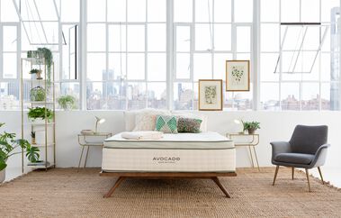 Avocado Green Hybrid Plush Pillow Top Mattress 13"