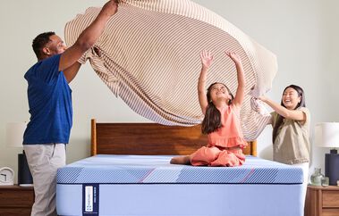 Sealy Posturepedic Pro Hybrid Dupont II Firm Mattress 13"