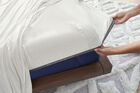 BEDGEAR Ver-Tex Performance Sheet Set