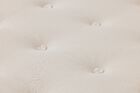 Avocado Green Hybrid Plush Pillow Top Mattress 13"