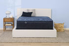 Serta Perfect Sleeper English Ivy Plush Mattress 14"