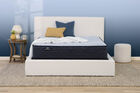 Serta Perfect Sleeper Bondi Bay Firm Mattress 12" image number