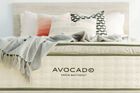 Avocado Green Hybrid Plush Pillow Top Mattress 13"