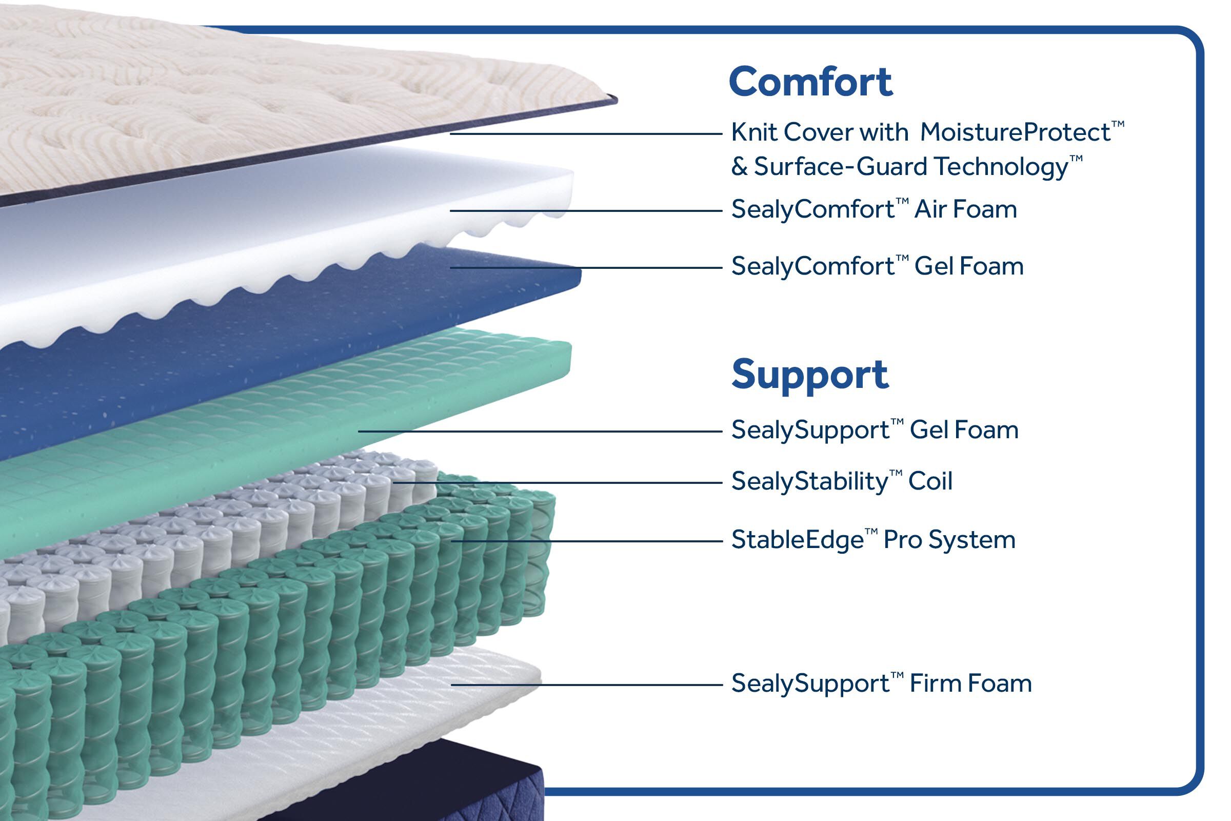 トゥルースリーパー Sealy Posturepedic Truett Firm Mattress 12.5