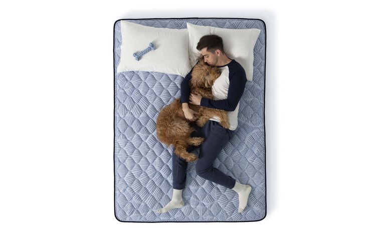 Serta Perfect Sleeper Bondi Bay Medium Mattress 13.5" image number 3