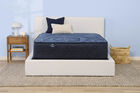 Serta Perfect Sleeper English Ivy Firm Mattress 14" image number