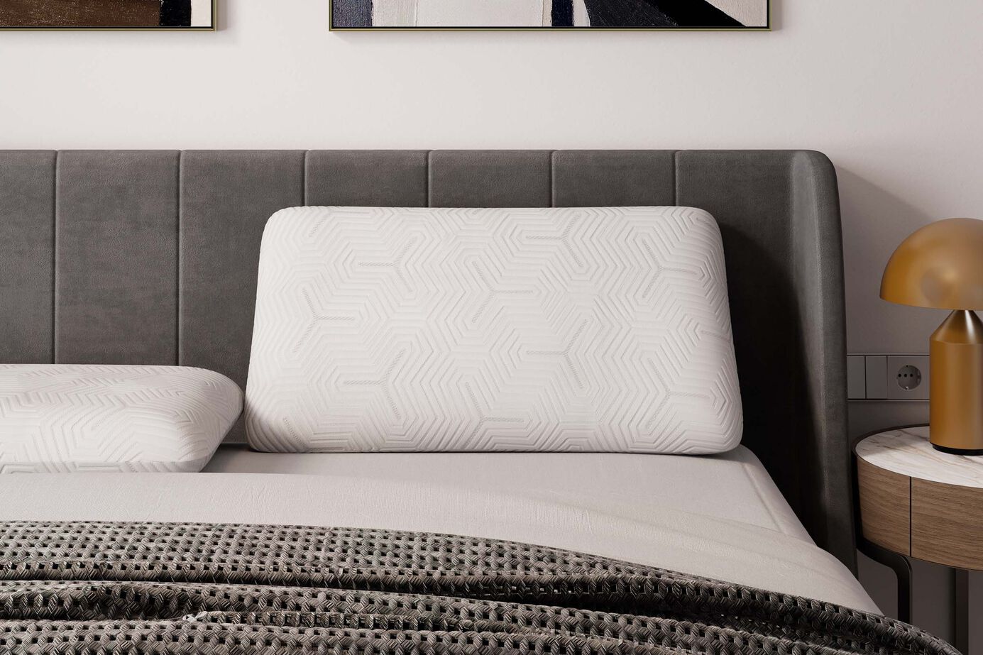 Sleep Partner ZZZ Gentle Response Low Pillow image number 0