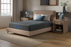 Beautyrest Hybrid Level 2 Plush Mattress 12"
