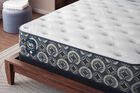 Serta Perfect Sleeper Cascade Canyon Medium Mattress 13"