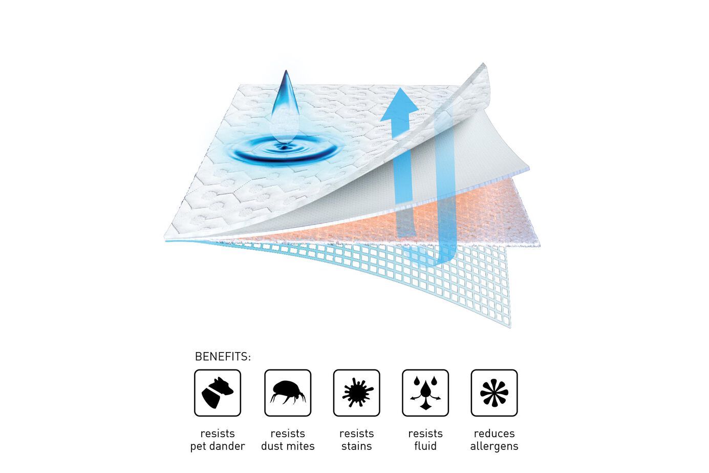 BEDGEAR Dri-Tec Mattress Protector image number 5