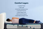 Serta Perfect Sleeper Dutch Iris Firm Mattress 12"