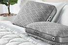 BEDGEAR Aspen Pillow 1.0