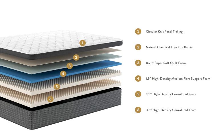 Mancini's Sleepworld Gold Plush Euro-Top Mattress 9" image number 1