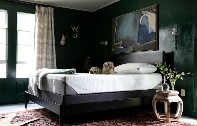 Tempur-Pedic TEMPUR-Adapt Previous Generation Medium Hybrid Mattress 11" image number 5