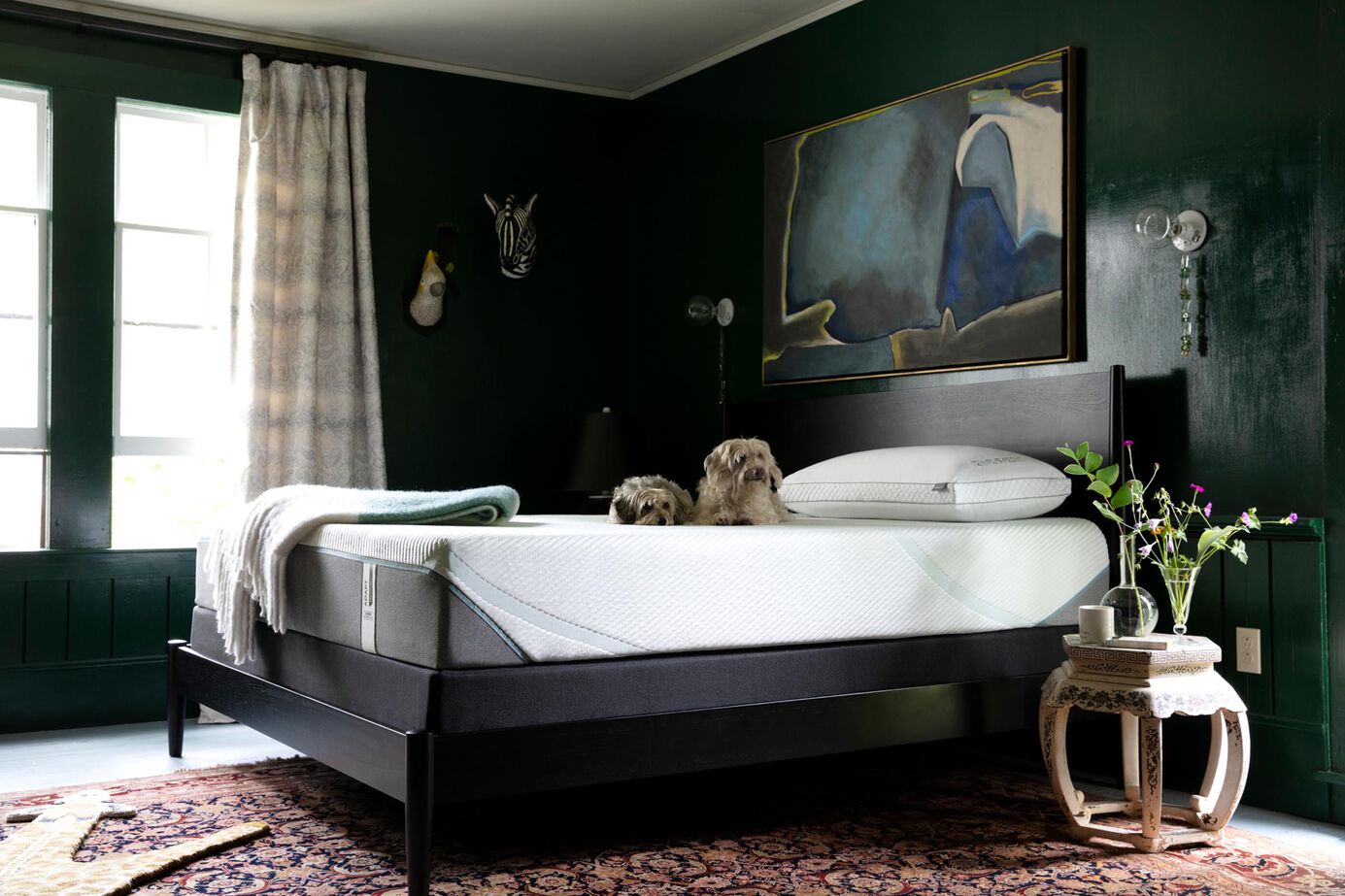 Tempur-Pedic TEMPUR-Adapt Previous Generation Medium Hybrid Mattress 11" image number 5