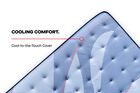 Sealy Posturepedic Pro Blanton Soft Mattress 14"