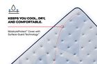 Sealy Posturepedic Plus Paterson II Soft Pillow Top Mattress 15"