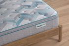 BeautySleep Dream Weaver Ultra Plush Pillow Top Mattress 14.25"