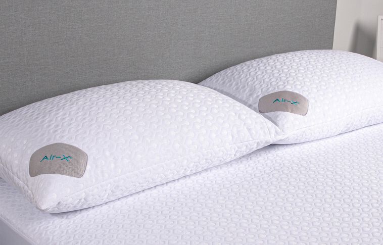 BEDGEAR Dri-Tec 5.0 Air-X Pillow Protector image number 1