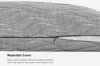 BEDGEAR Aspen Pillow 0.0