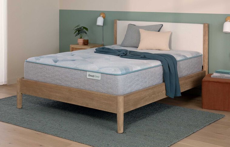 BeautySleep Dream Weaver Plush Tight Top Mattress 13.75" image number 0