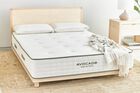 Avocado Green Hybrid Medium Firm Mattress 11"