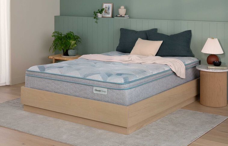 BeautySleep Dream Weaver Medium Pillow Top Mattress 14.25" image number 0